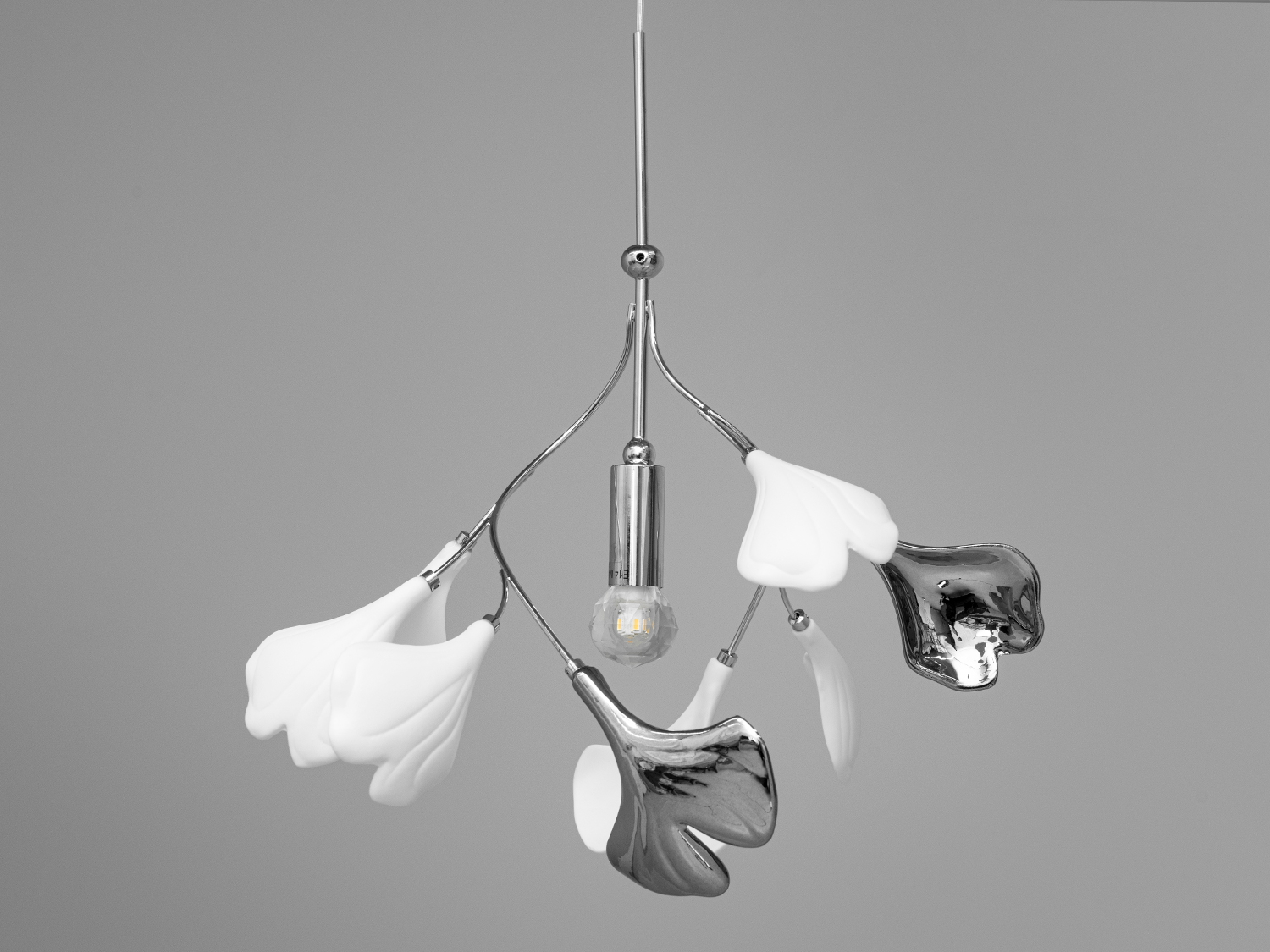 Дизайнерська керамічна&nbsp;люстра арт деко являє собою шедевр дизайну, який знаходить гармонію між природною красою та сучасною естетикою. Міцний металевий каркас слугує основою для ніжних керамічних пелюстків, що мають форму листя Гінкго Білоба &ndash; дерева, знаного своєю красою та лікувальними властивостями, яке було символом мудрості та довголіття ще з часів античності.
Купить люстру в Україні недорого від виробника, ви отримуєте не лише якісне освітлення в вашій оселі, але й можливість зекономити, вибравши оптову покупку люстри гуртом, яка ідеально впишеться в концепцію вашого простору.
Пелюстки з фарфору-бісквіту, неглазуровані та білі, нагадують за текстурою мармур античних палаців, вони додадуть простору відчуття стабільності та історичної глибини. Їхній природний мотив втілює спокій та розслаблення, привносячи в інтер&rsquo;єр елементи природної гармонії.
Контрастуючи з цим, пелюстки з глазур'ю під металік у золотих або хромованих кольорах вносять сучасні акценти та розкішний блиск, що ідеально поєднується зі світлом лампи E14, створюючи в інтер'єрі неповторну атмосферу.
Регульована висота люстри арт деко дає можливість змінювати розміщення світильника залежно від потреб простору, забезпечуючи оптимальне освітлення та створення затишку у вашому домі.&nbsp;
Даний світильник-підвіс може бути вдало використаний в різних стилях інтер'єру, додаючи свою елегантність та вишуканість до кожного простору. Виділимо декілька основних стилів, де цей світильник може виглядати особливо впізнавано:
Класичний стиль:
В елегантних інтер'єрах з класичним декором та розкішшю, підвіс у формі листя Гінкго Білоба додасть елементи старовинності та естетики. Глазуровані пелюстки можуть чудово гармоніювати зі збереженими меблями та деталями у стилі ренесансу або бароко.
Модерн:
В сучасних інтер'єрах, оформлених у мінімалістичному або модерному стилі, неглазуровані білі пелюстки привнесуть елемент природної простоти та гармонії. Металевий каркас і глазуровані пелюстки у золотих або хромованих відтінках додадуть сучасних акцентів.
Арт-деко:
Глазуровані пелюстки в золотих або хромованих відтінках ідеально впишуться в арт-деко інтер'єри, надаючи приміщенню розкішний блиск та різноманіття.
Еклектика:
У стилі еклектики, де об'єднуються різні елементи різних стилів, цей світильник може стати вдалим поєднанням класики та сучасності, створюючи унікальну атмосферу.
Лофт:
У лофт-інтер'єрах, де цінується індустріальний стиль та відкриті простори, натуральні пелюстки та металевий каркас додають природності та текстурність.
Цей світильник видається універсальним, спроможним доповнити різноманітні стилі інтер'єру, вносячи у них вишуканість та особливий характер.
Наш світильник-підвіс можна успішно використовувати в різних типах приміщень, додаючи свою унікальну естетику та освітлення. Розглянемо його застосування в конкретних видах приміщень:
Їдальня або Ресторан:
Завдяки своєму стильному та елегантному дизайну, світильник ідеально підійде для створення атмосферного освітлення в ресторанах чи їдальнях, де можна підкреслити елегантність та стиль інтер'єру.
Сучасний Офіс або Робочий Кабінет:
В сучасних офісах чи робочих кабінетах цей світильник може додати не лише необхідне освітлення, але й створити стильну атмосферу та відзначити професійний підхід.
Лобі Готелю чи Лобі Компанії:
Як центральний елемент при вході в готель чи офіс, світильник може вразити своєю вишуканістю та створити гармонійну атмосферу для вітання гостей чи клієнтів.
Житлова Кімната або Вітальня:
В житлових приміщеннях цей світильник може стати ефектним доповненням до вітальні, додаючи в неї вишуканість та затишок.
Арт-галерея або Музей:
У місцях, де важлива естетика та витонченість, таких як арт-галереї чи музеї, цей світильник може витончено доповнити інтер'єр та освітлити твори мистецтва.
Лофт чи Сучасне Студійне Приміщення:
У лофт-інтер'єрах чи студійних просторах цей світильник додасть текстурність та природність, створюючи унікальну атмосферу та витончений вигляд.
Таким чином, цей світильник виявиться вдалим рішенням для освітлення та декорування різноманітних приміщень залежно від їхнього призначення та стилю.
Наш світильник-підвіс з пелюстками у формі листя Гінкго Білоба стане центральним елементом оформлення приміщення, додавши до нього стиль, елегантність та трохи природної магії.
Чудовим дизайнерським рішенням, було б придбання всього комплекту із серії &laquo;Гінкго Білоба&raquo;. До нього входять: люстри круглої форми, люстри витягнутої форми, бра, торшер, настільні світильники.
Лампа в комплект не входить.